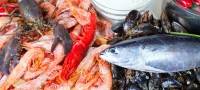 Test Fruits de mer
